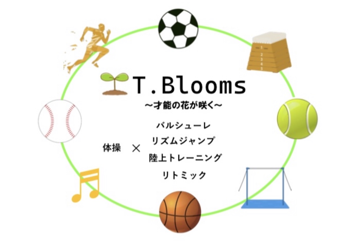 T.Bloomsの活動