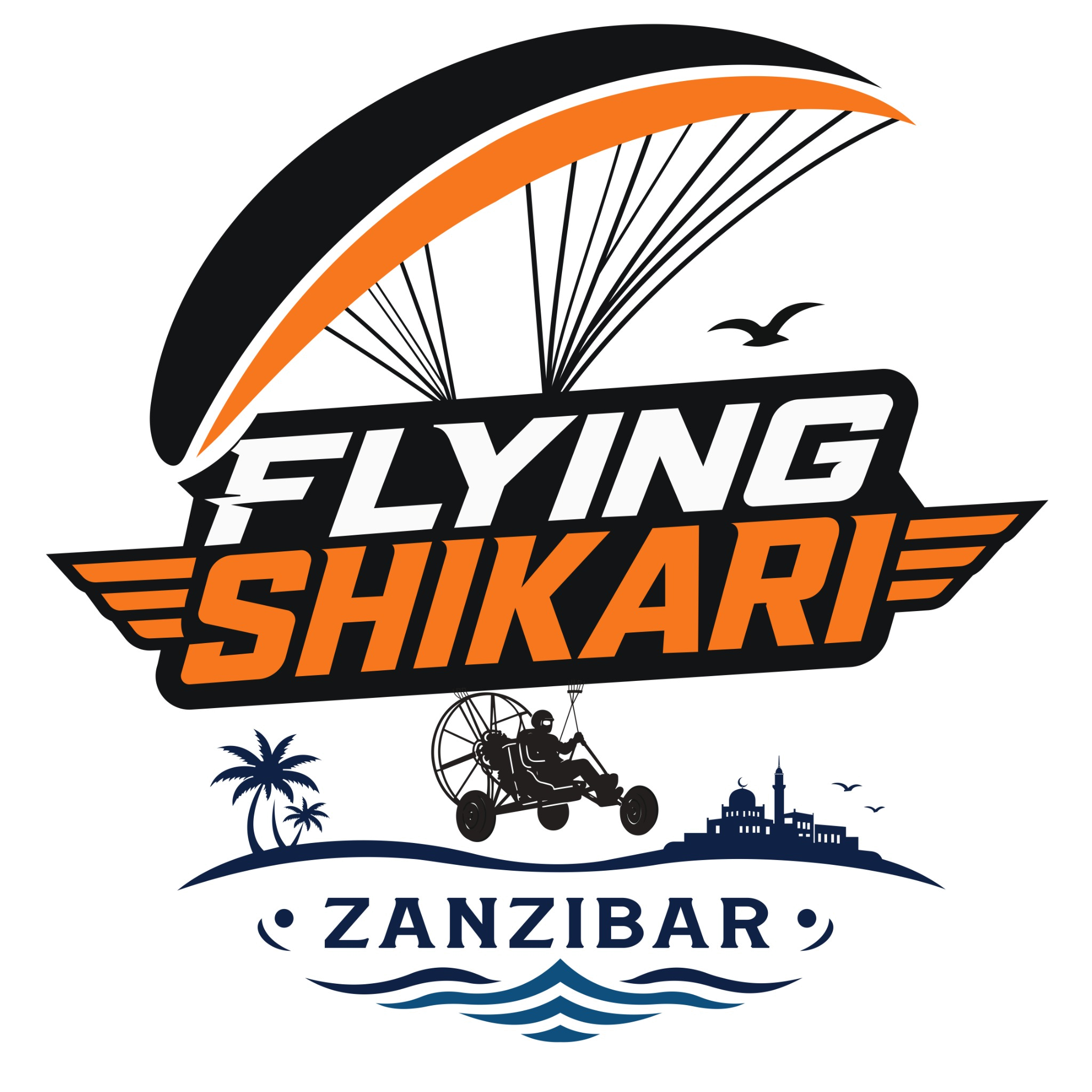 Flying Shikari