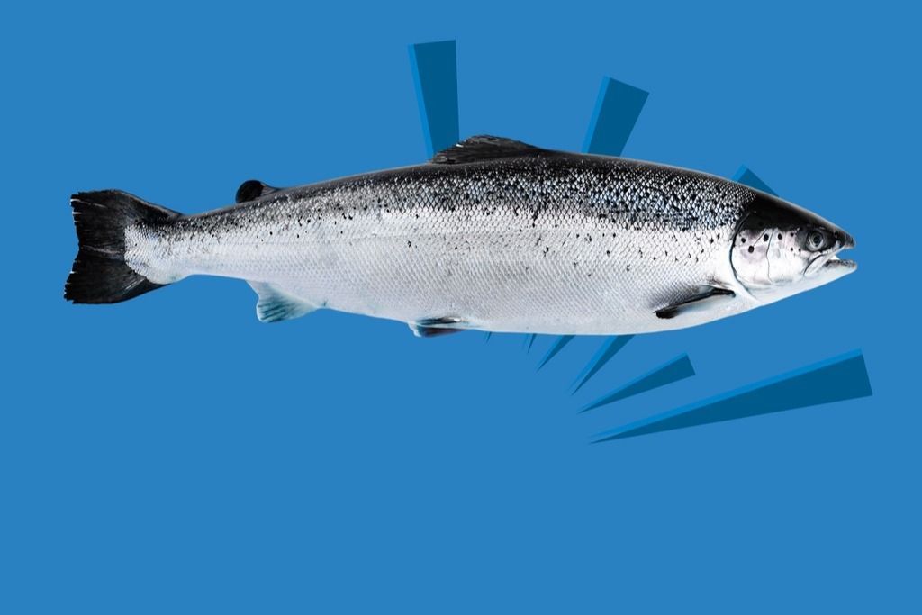  🐟 Frisk laks på lager! 