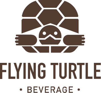 Flying Turtle Logo