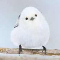 アンダーテール