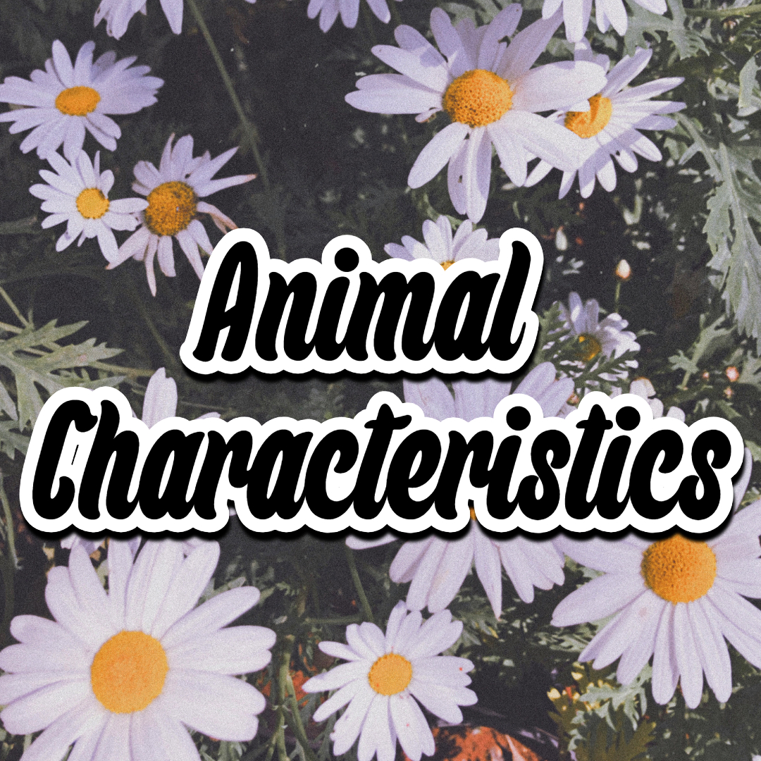 Animal Characteristics on Hero: Animal Characteristics