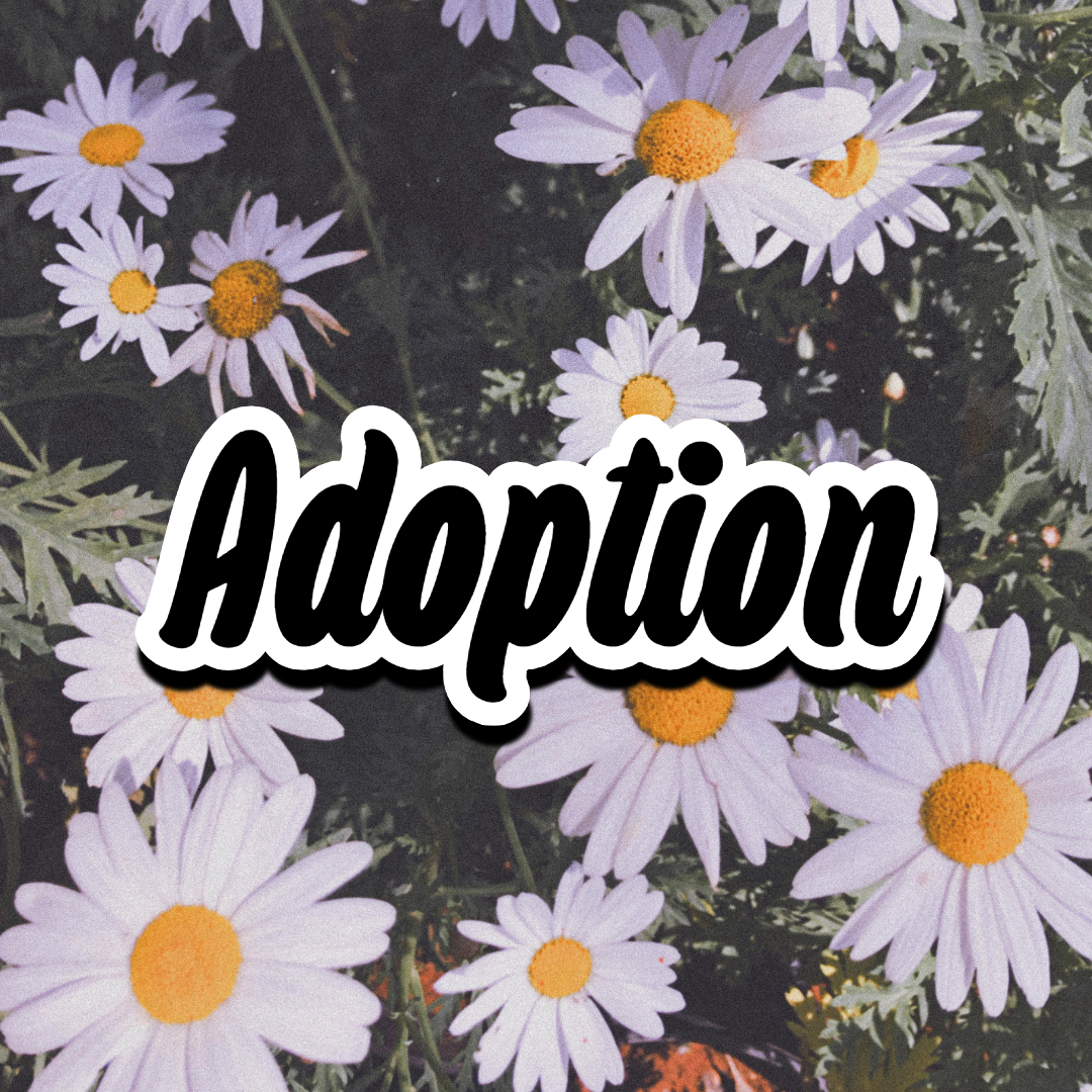 Adoption