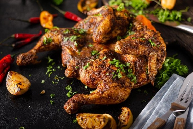 مظبي دجاج