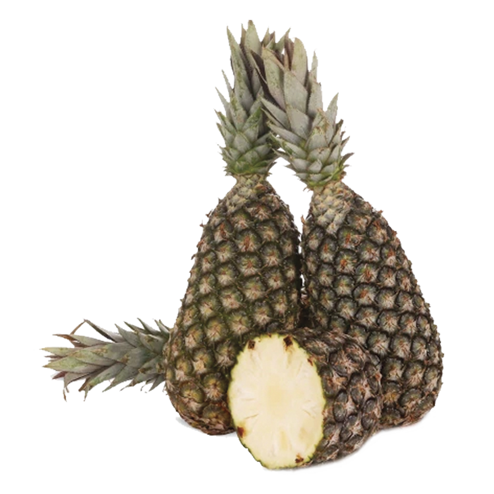 Abacaxi Pérola 