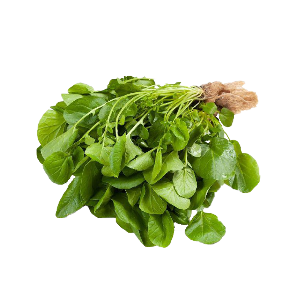 Agrião Hidrop. Jacareí
