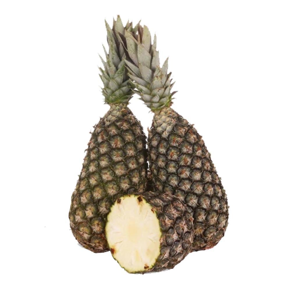 Abacaxi Pérola 