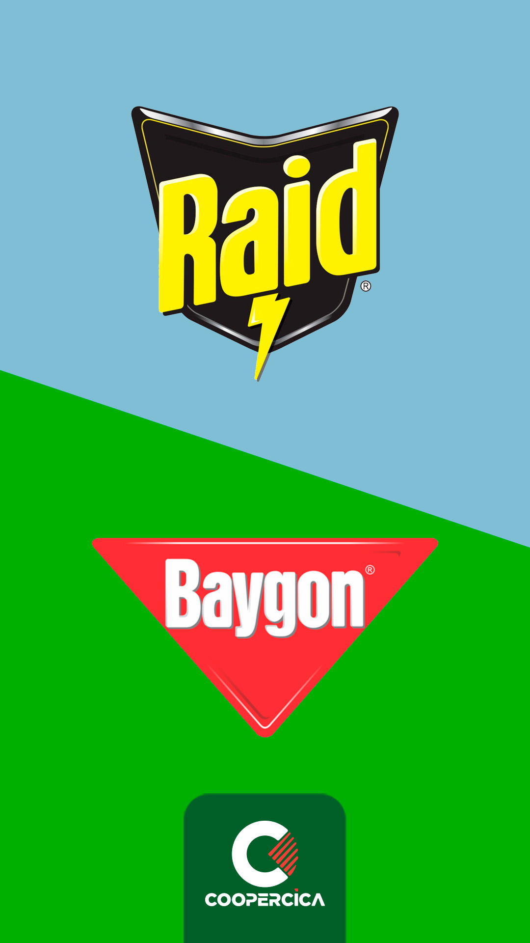 Imagem ESPECIAL AVEC