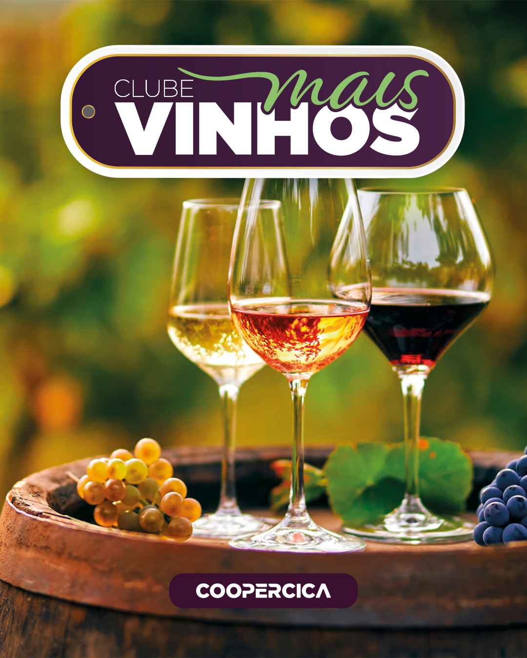 Imagem ESPECIAL VINHOS