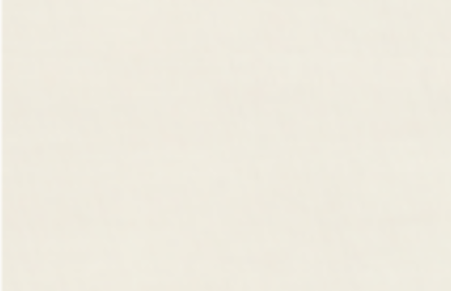 AVERY SQUID OPAQUE BONE bild 3