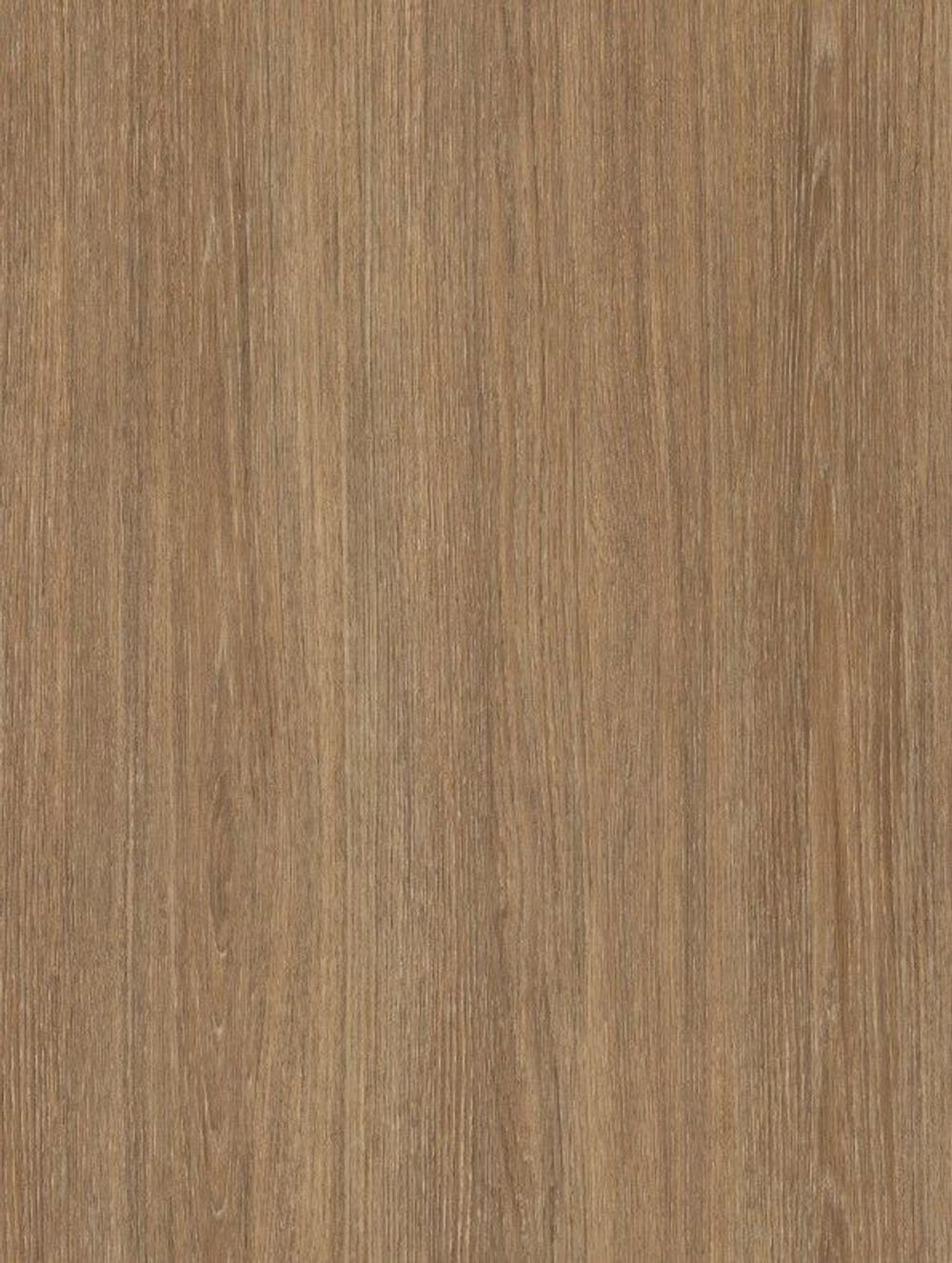 B8-WOOD bild 1