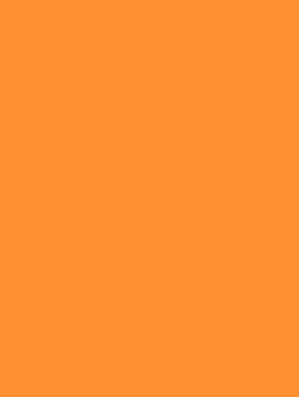 L3-COLOR bild 1