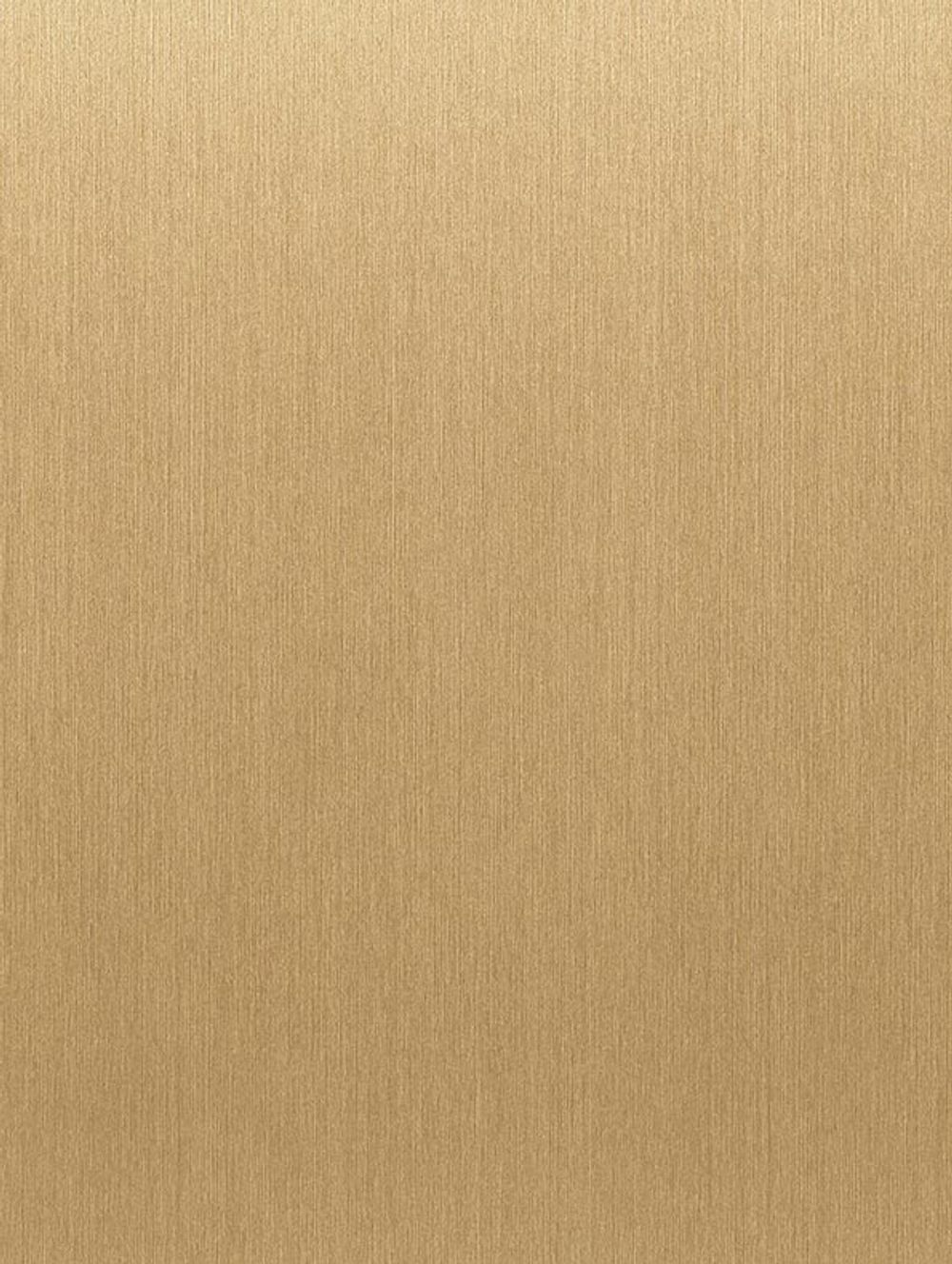 NE47-STEEL bild 1