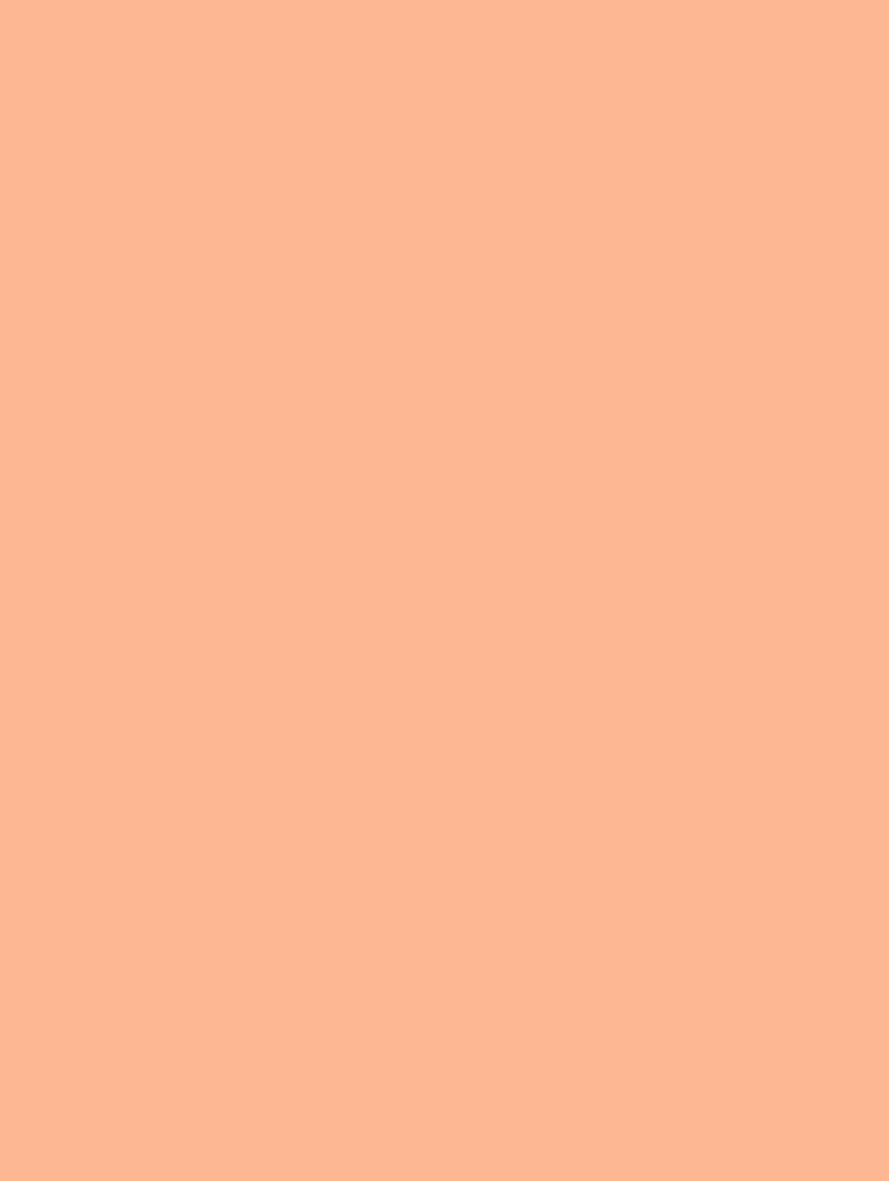 NE53-COLOR bild 1