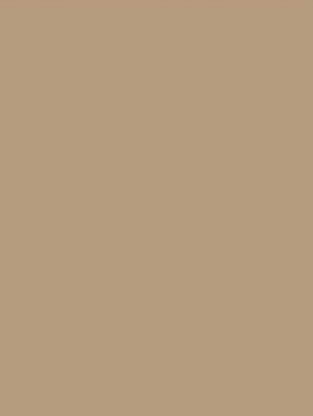 NE55-COLOR bild 1