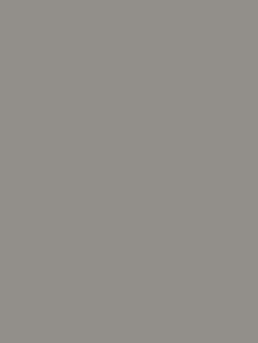 SILK NE79 DOVE GREY bild 1