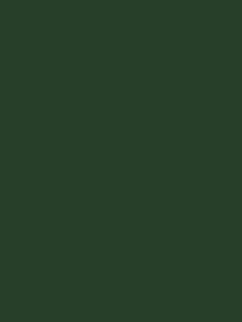 NE83-COLOR bild 1