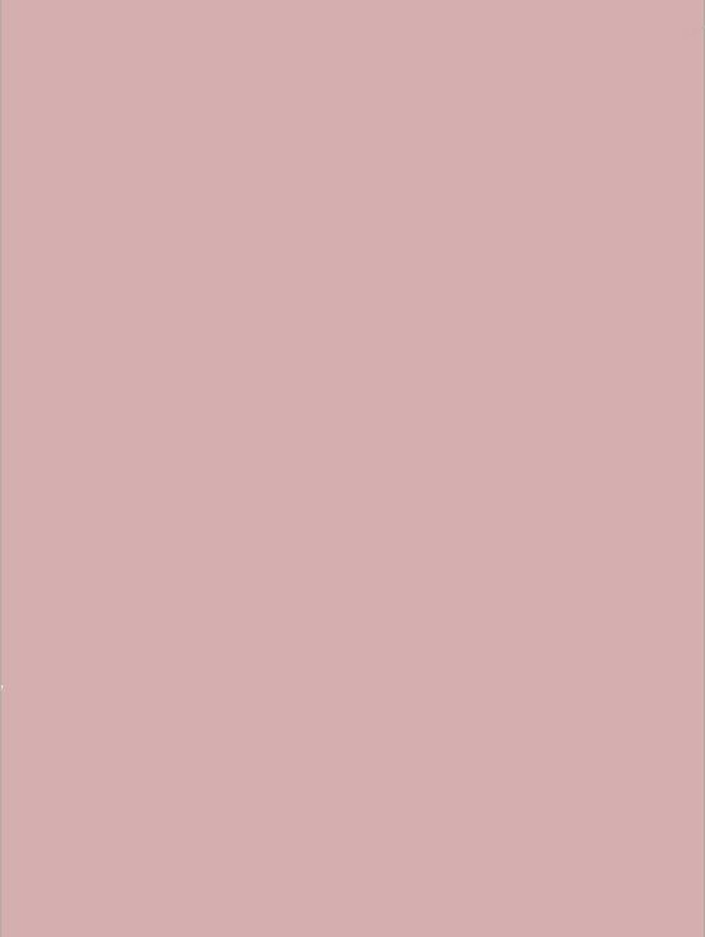 NF03-COLOR bild 1