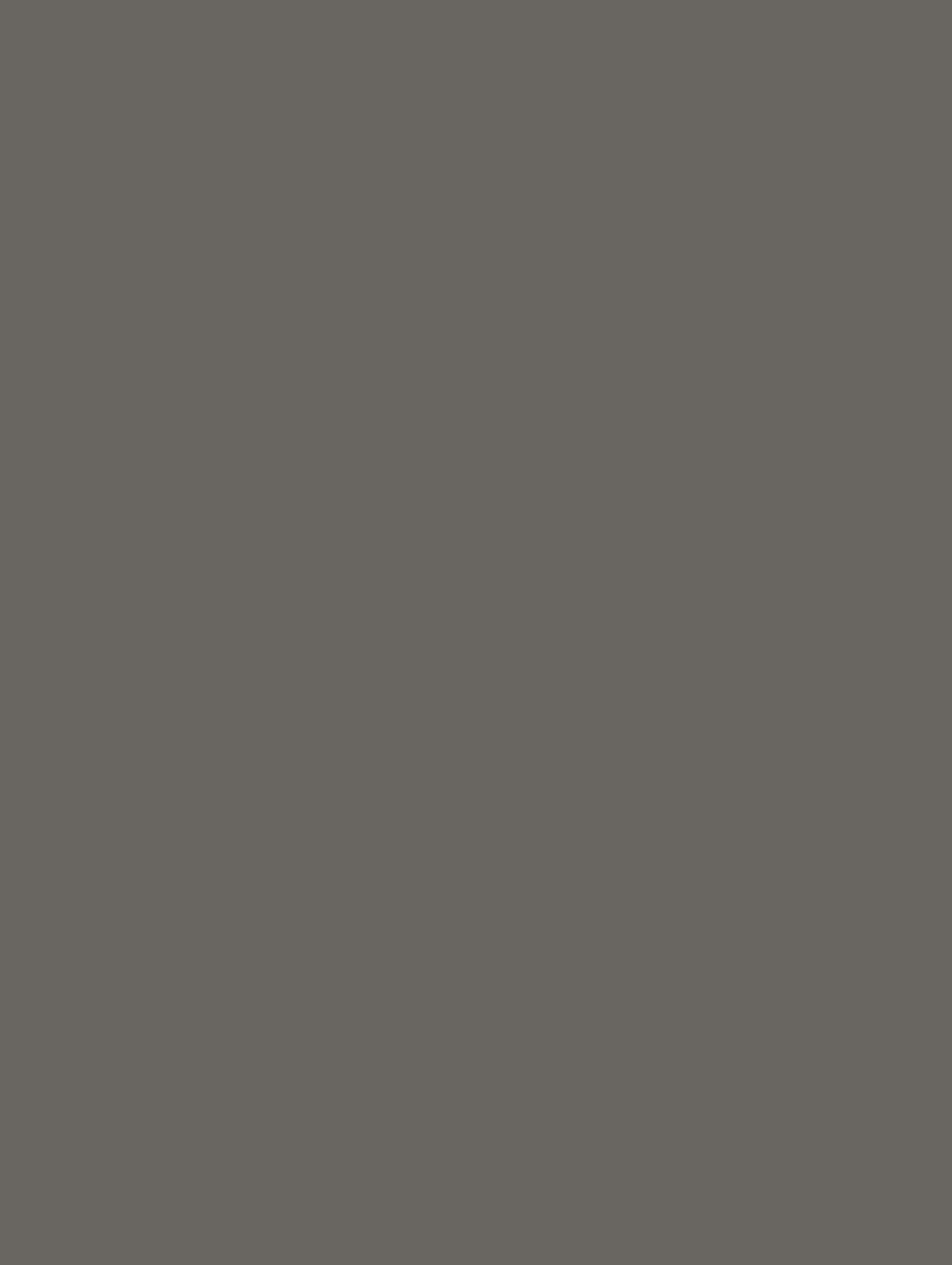 NF08-COLOR bild 1