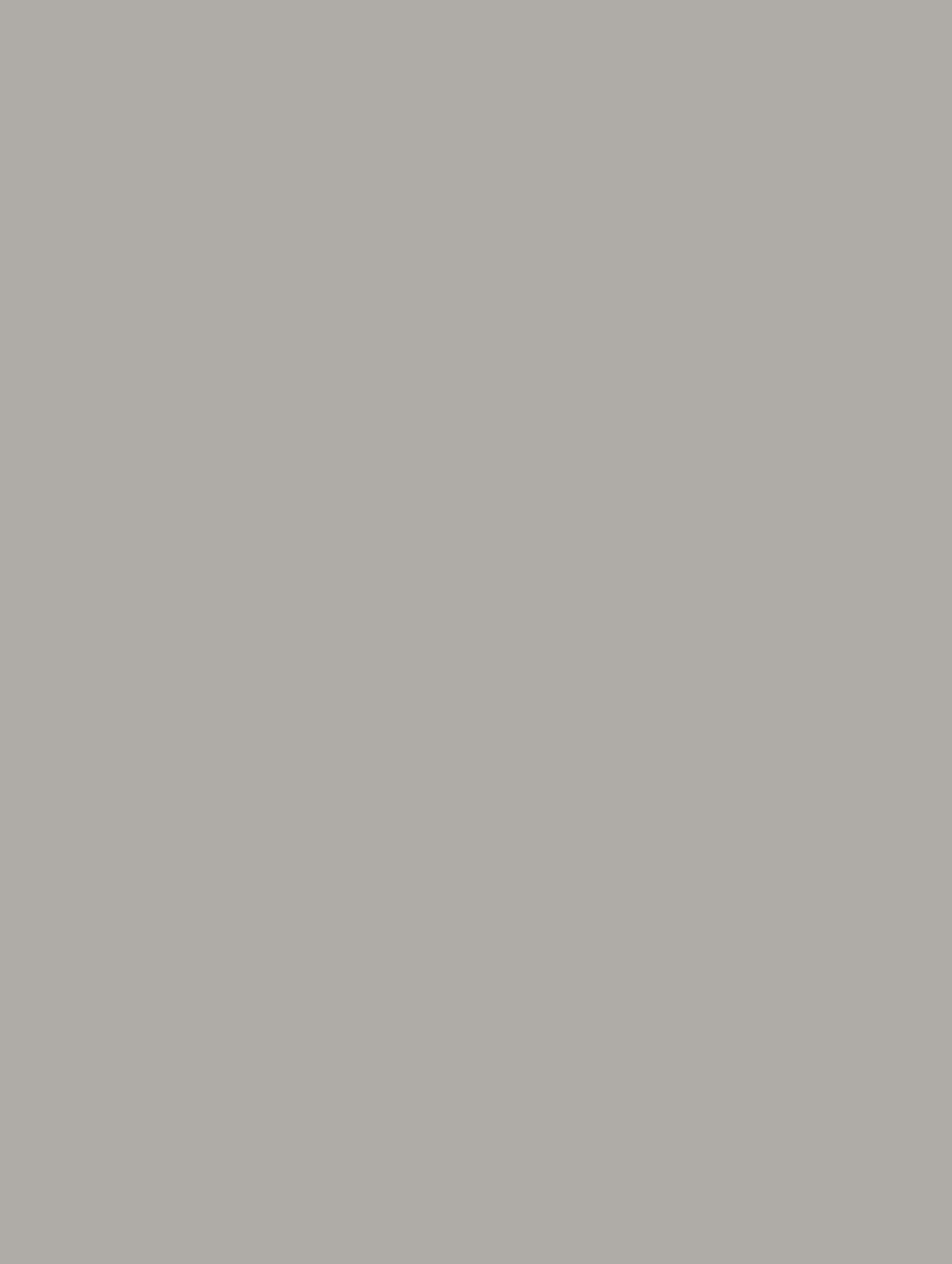 NF11-COLOR bild 1