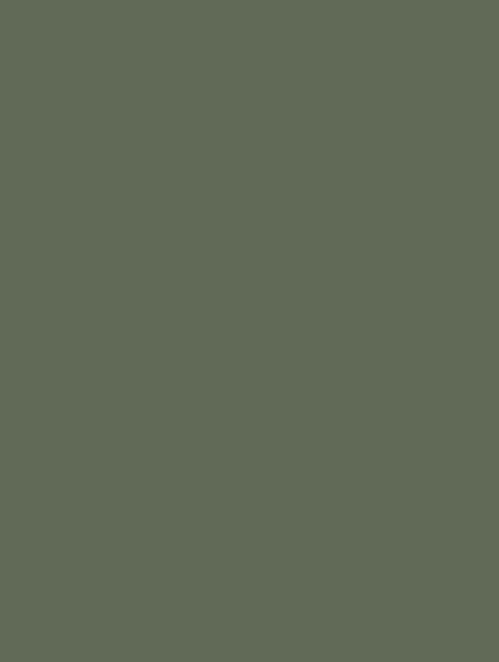 RM20-COLOR bild 1