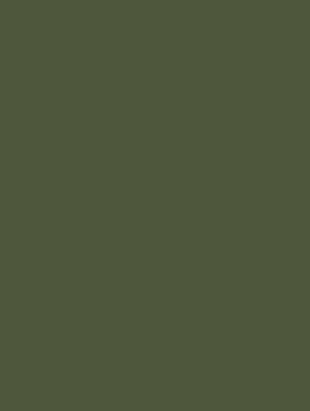 RM21-COLOR bild 1