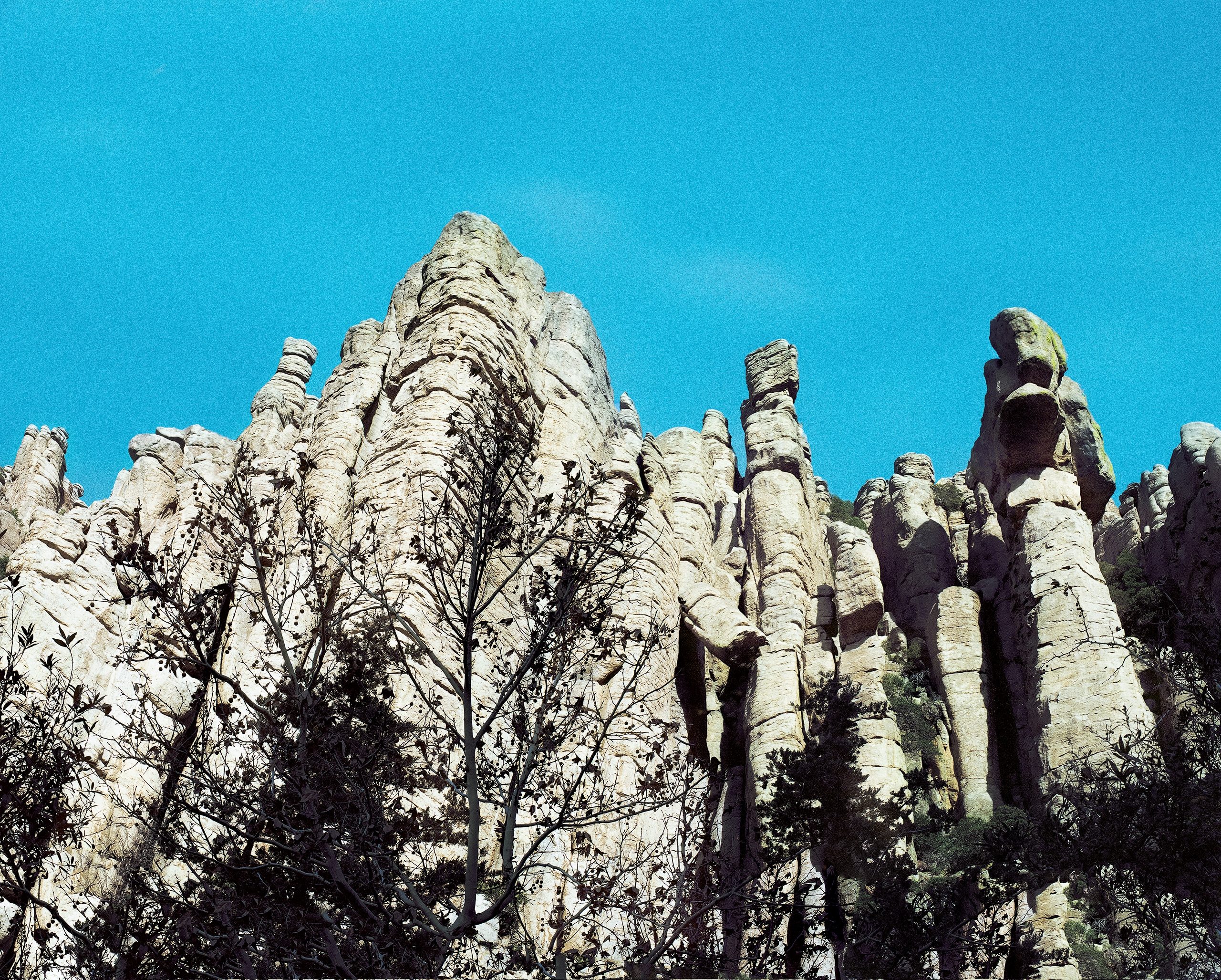 Tall sandstone rock formations rise against a clear blue sky, their surfaces marked by deep erosion channels and horizontal striations. Sparse vegetation and bare branches grow at their base.