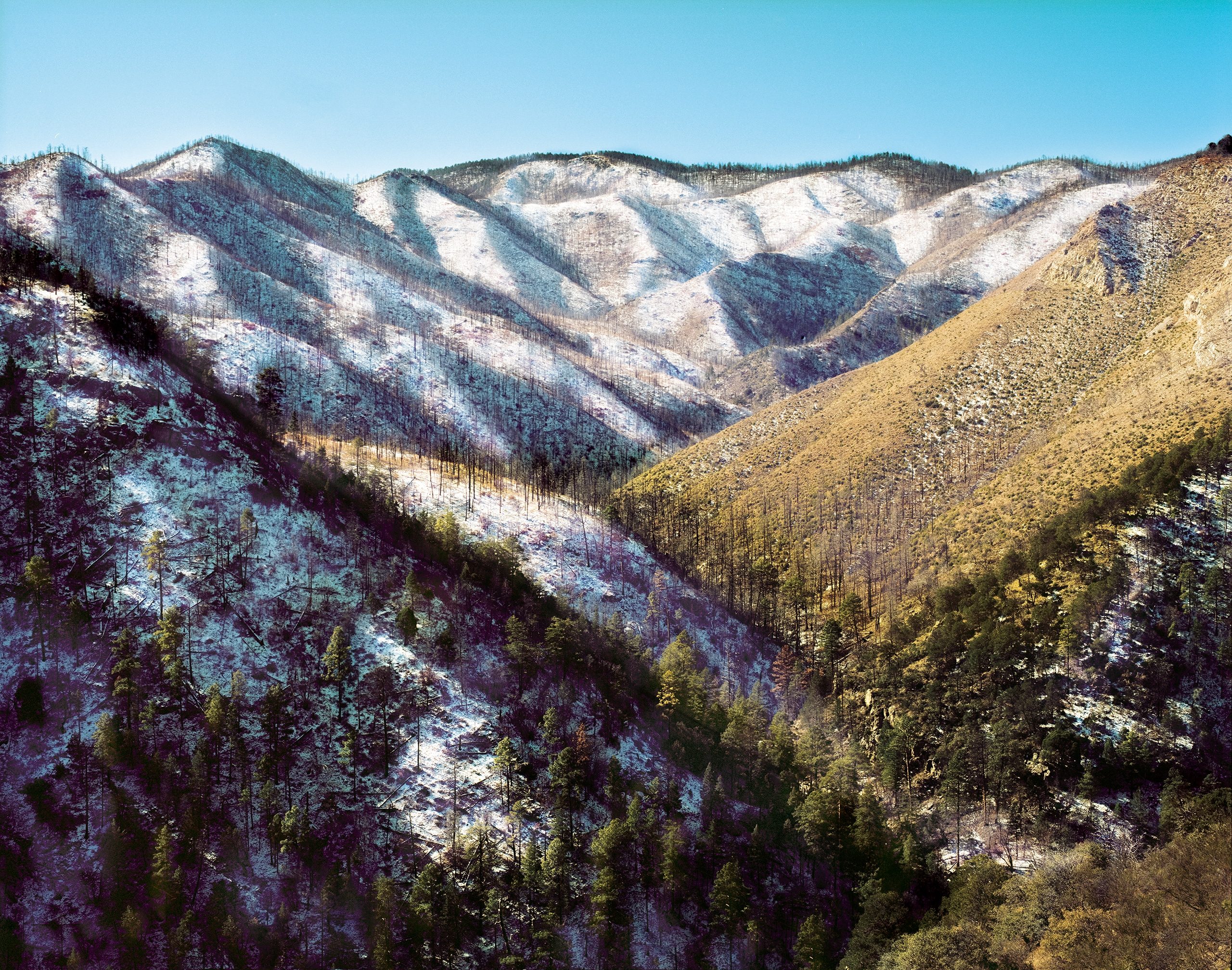 Forested mountainsides in winter, their slopes patched with snow and bare ground, receding into a hazy valley under clear sky. Burned or logged areas appear as bare tan ridges among evergreen forest and leafless deciduous trees.