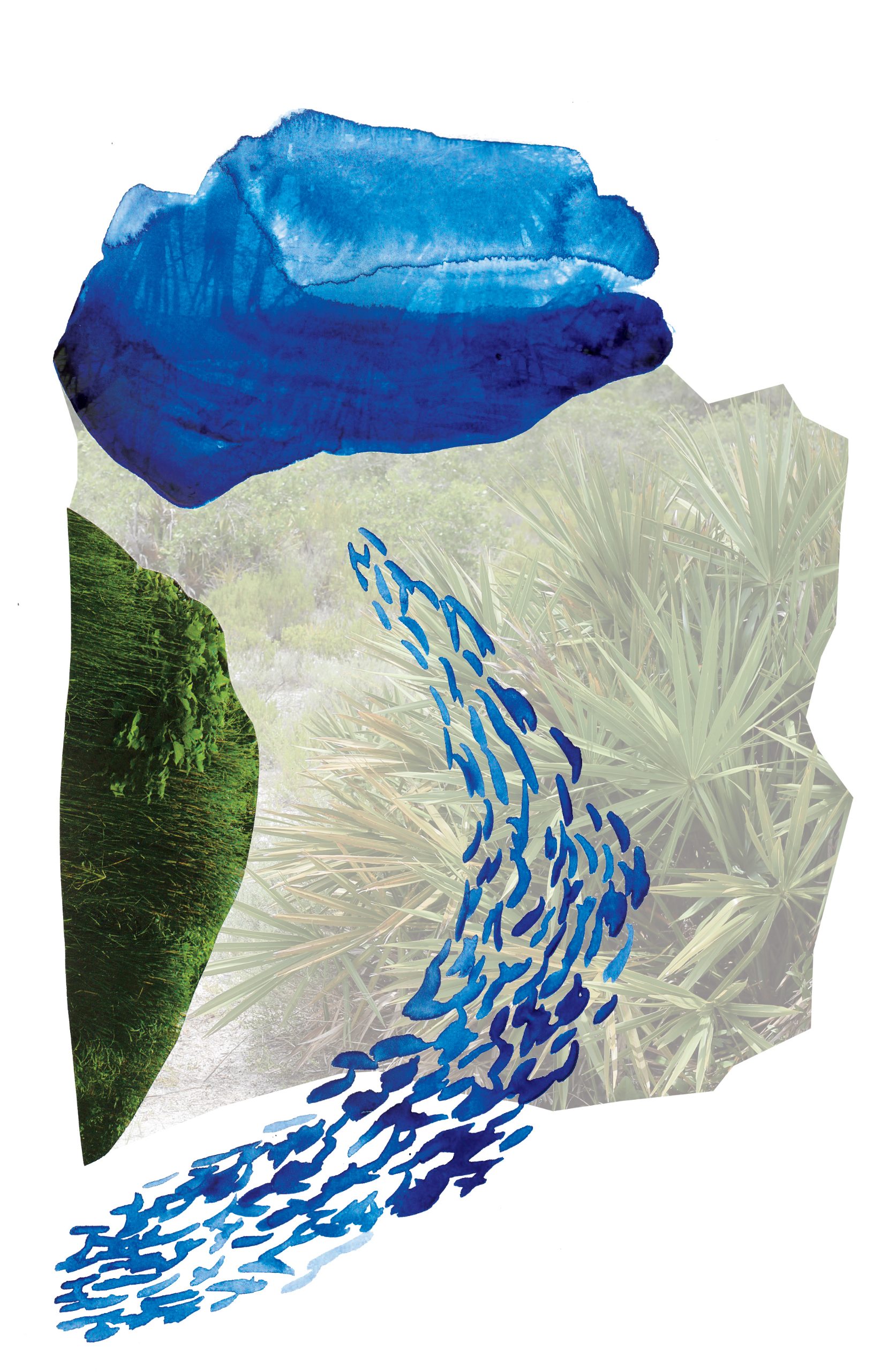 A layered collage showing a forest edge in dark green, pastoral grassland with radiating plant patterns in pale tan, a dark blue water mass, lighter blue sky above, and stylized blue fish shapes flowing diagonally across the composition.