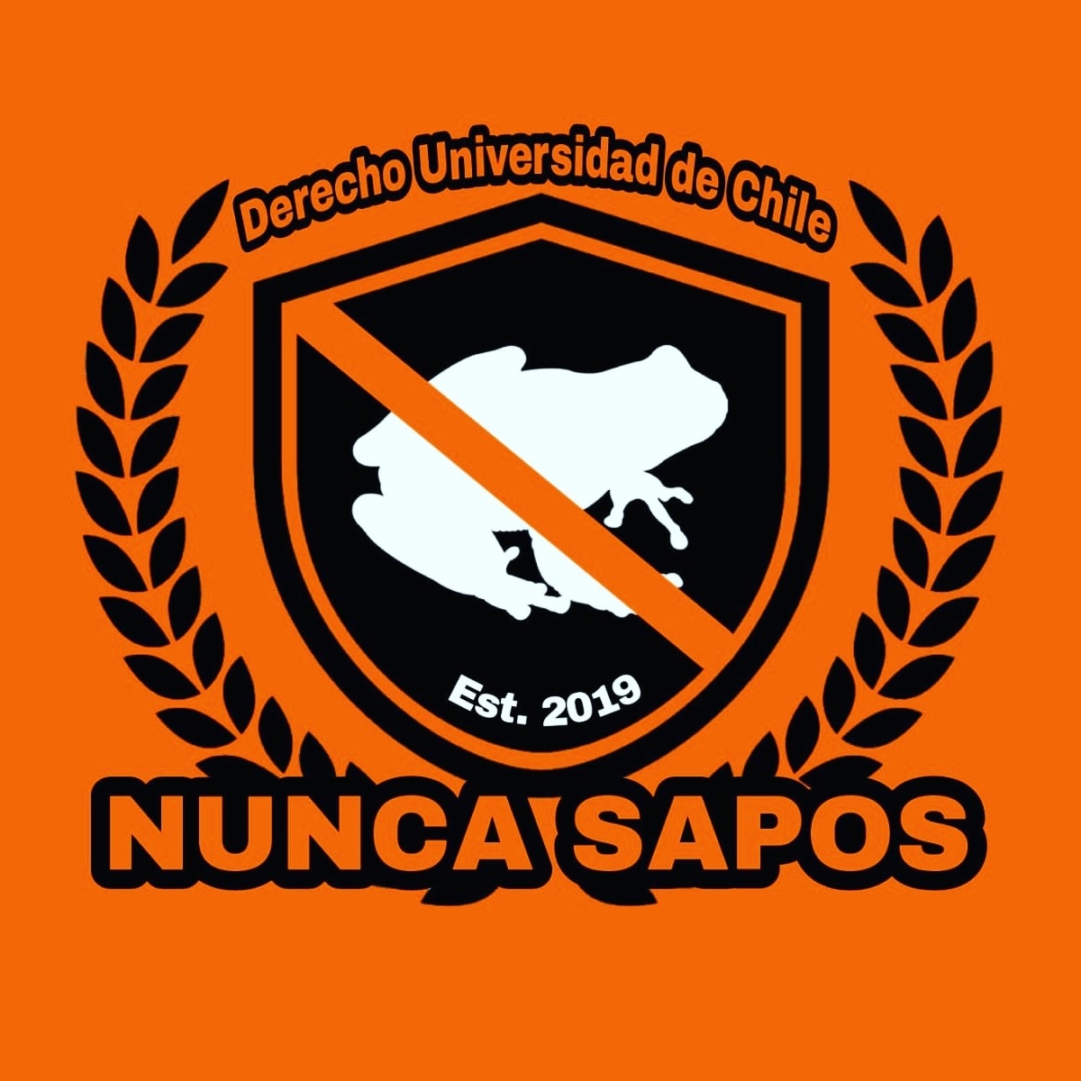 Nunca Sapos FC