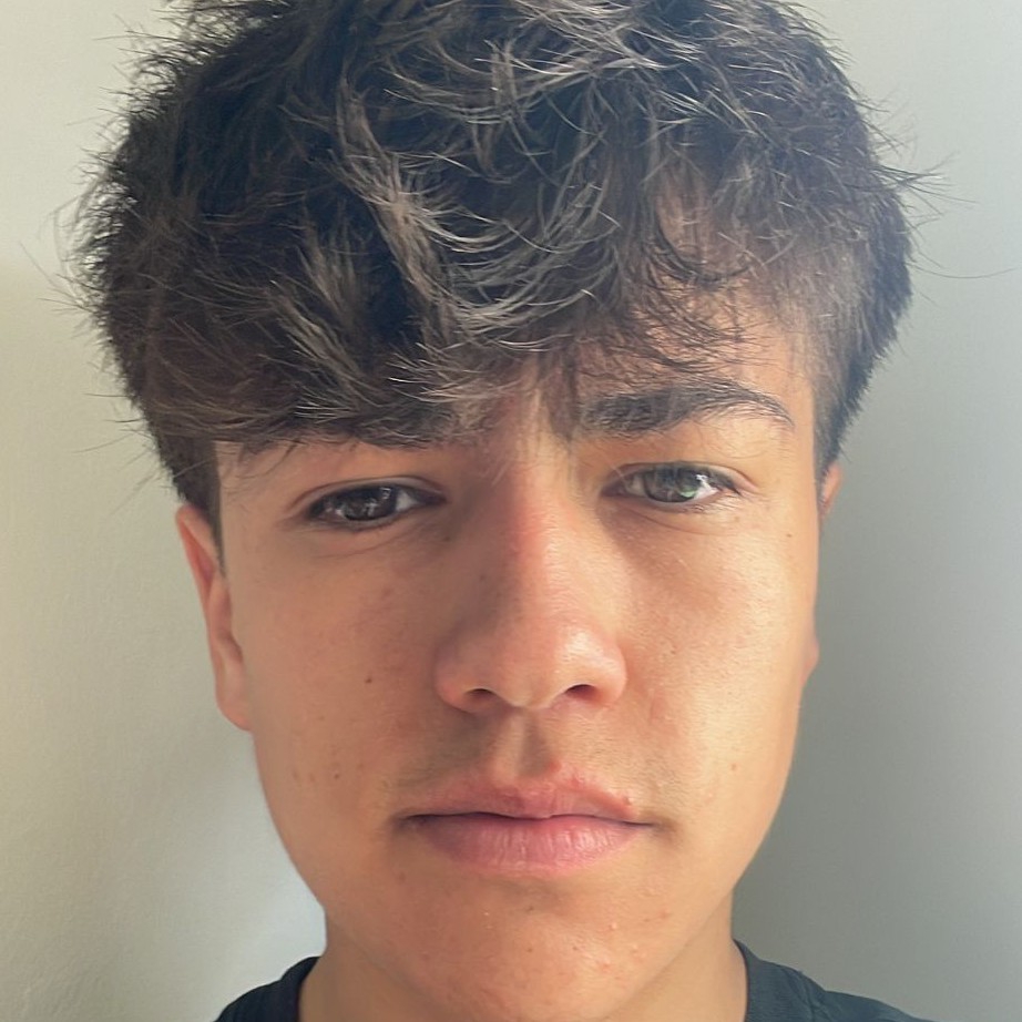 Guilles Alexandre Pasquini Romero