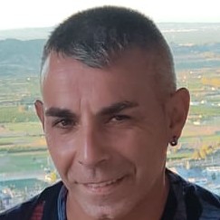 VICENTE RAMON ALIAGA GUITART