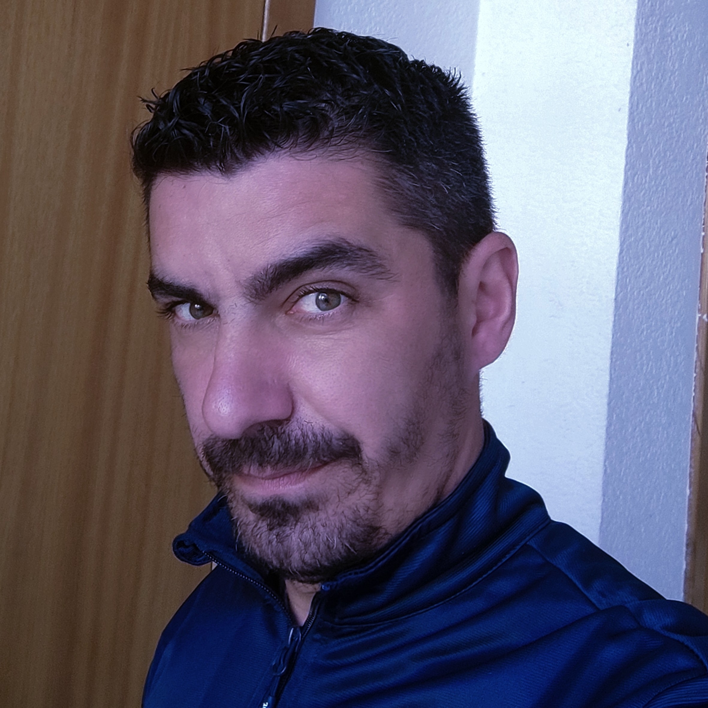 RAUL CARNICER FERNANDEZ