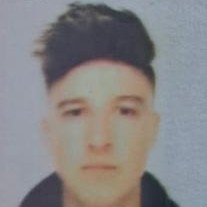 SILVIU ALEXANDRE MANOLACHE