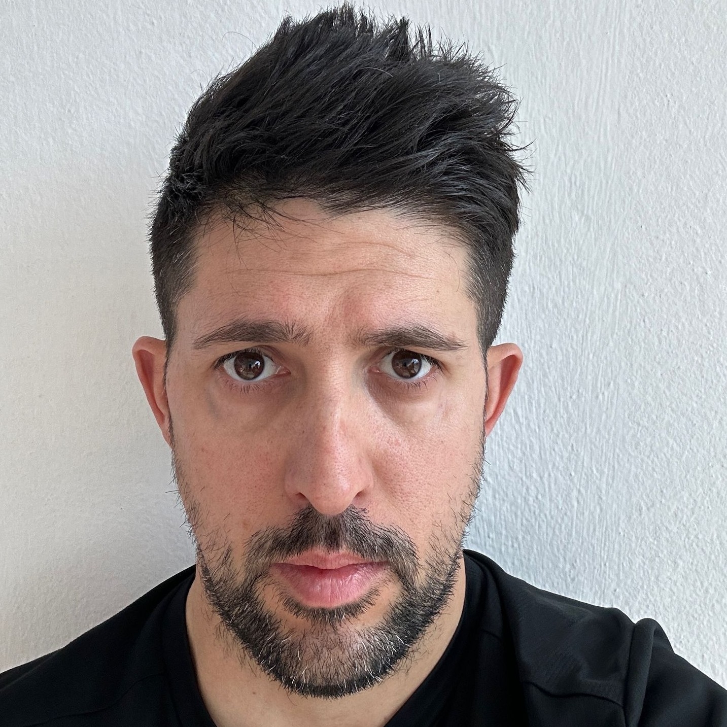 JUAN LUIS BERGUICES GIL