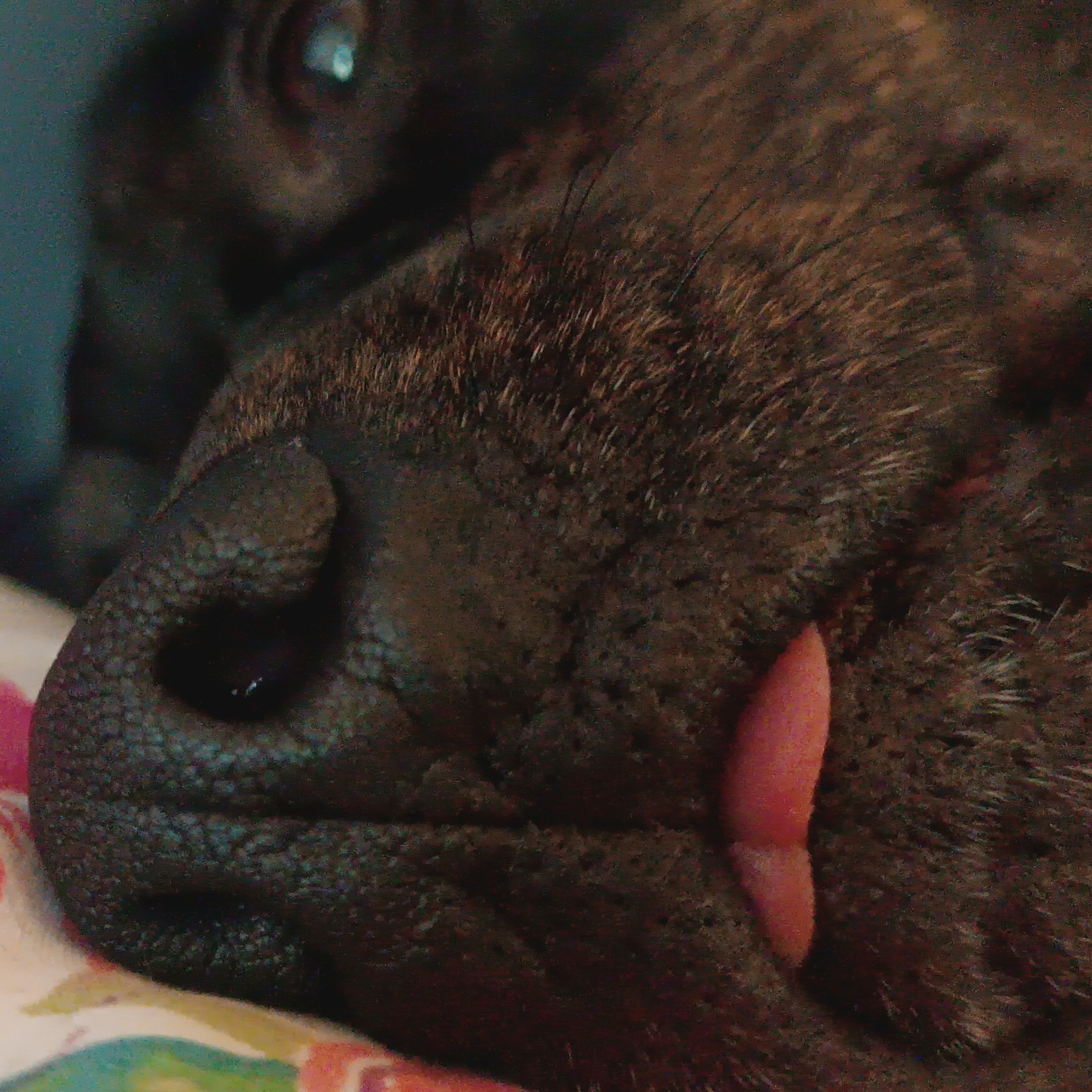 Catalina González Barrios