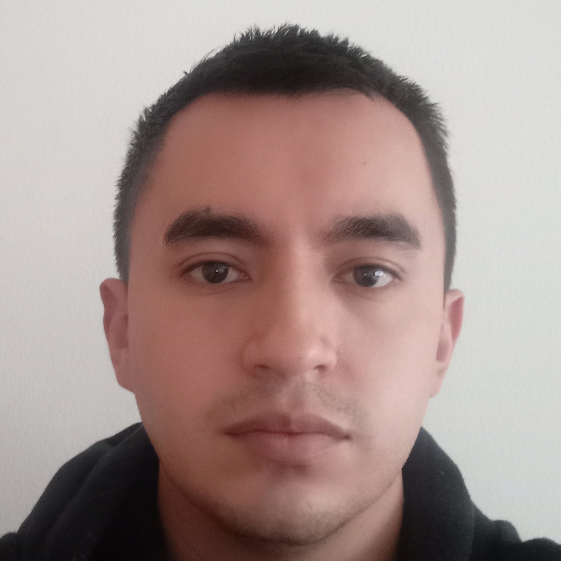 Jeisson David  Torres Méndez 