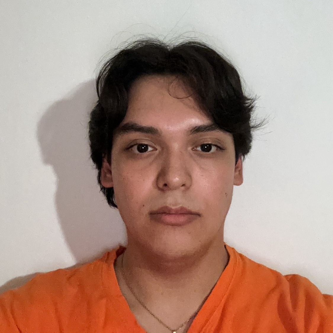 Luis Eduardo Vergara Clavellina