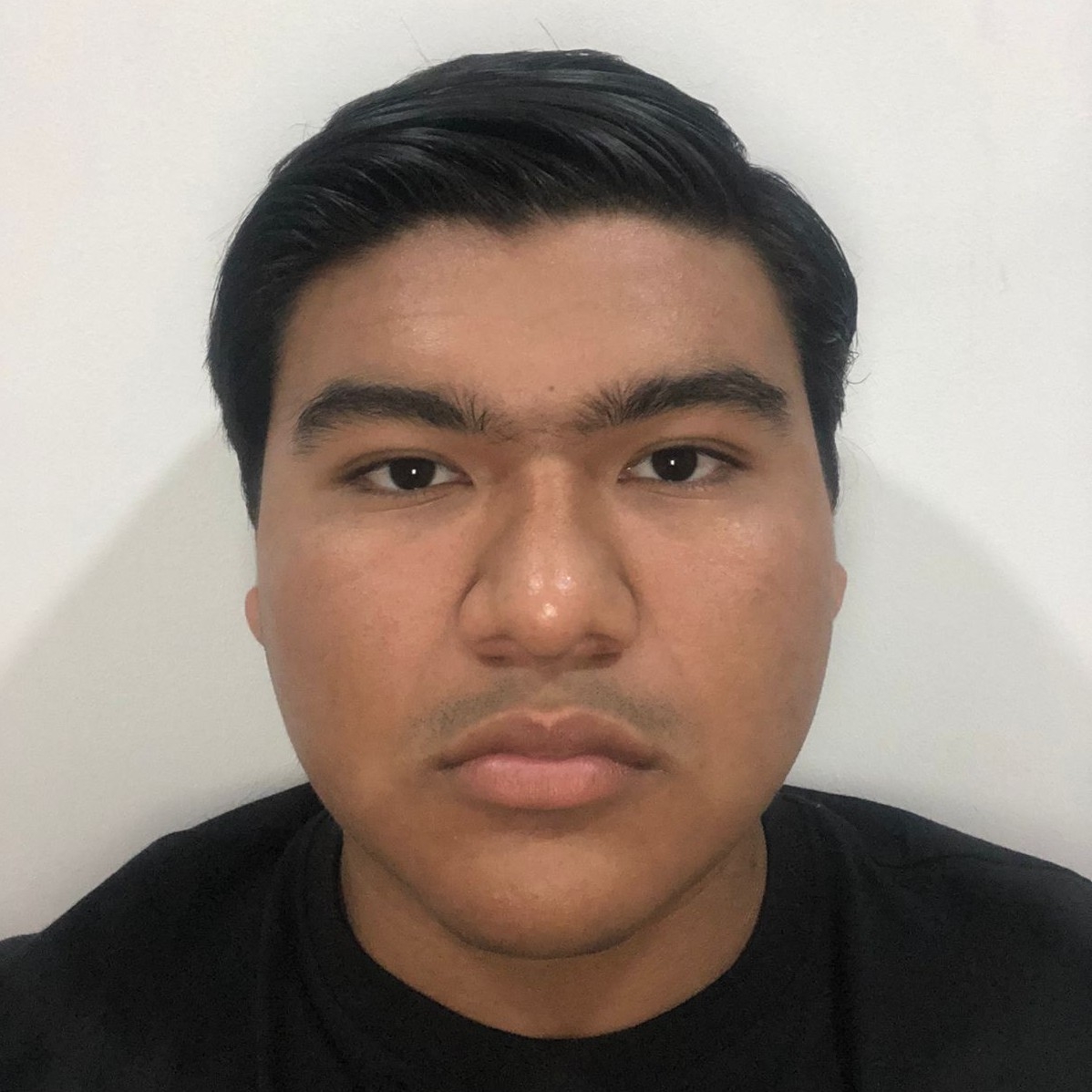 JESÚS ALEJANDRO ALMANZA RODRÍGUEZ