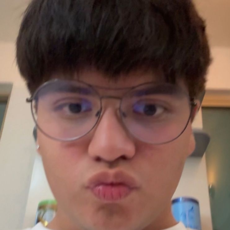 CHRISTIAN  MICHEL INFANTE PAREDES