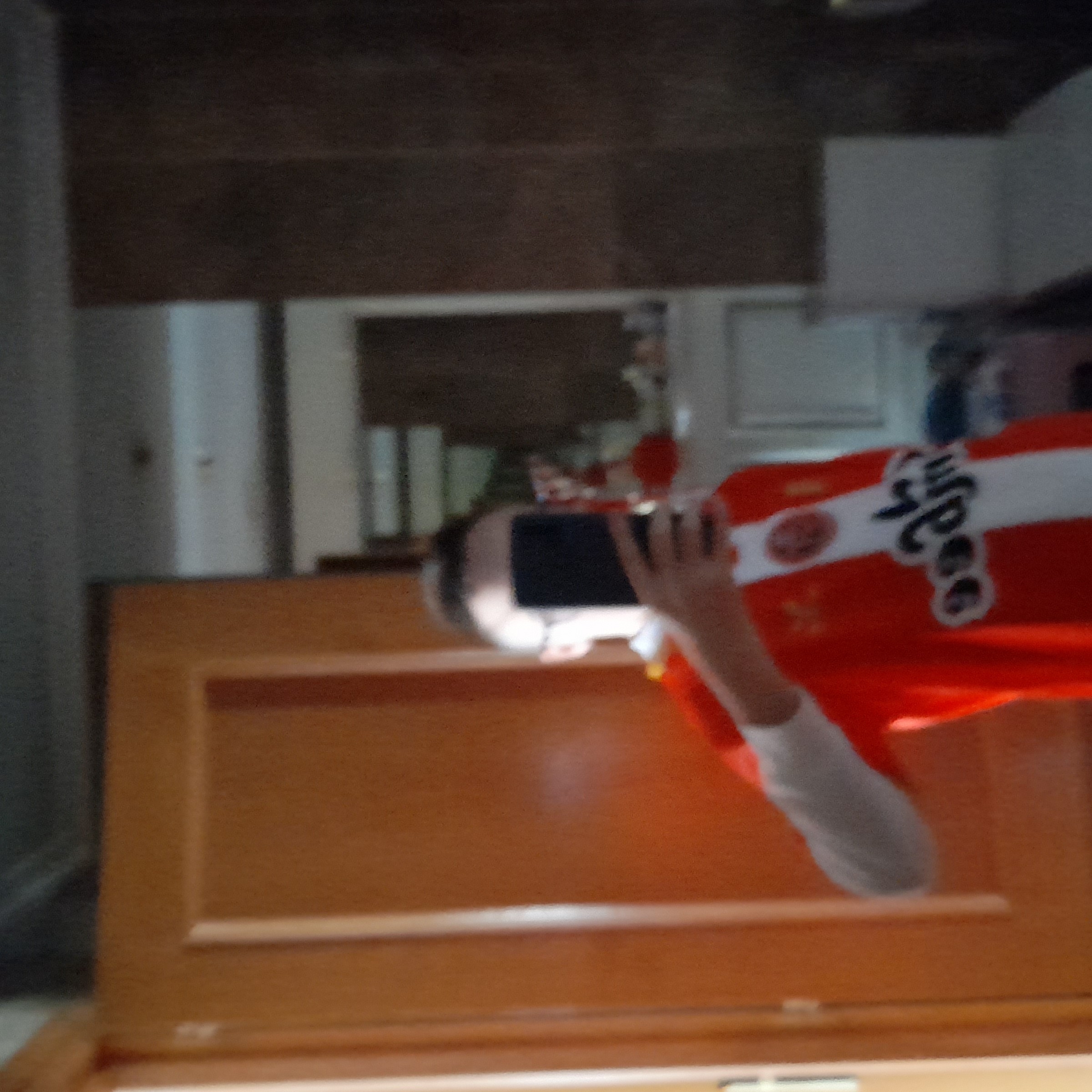 Cristian Nicolas Garcia