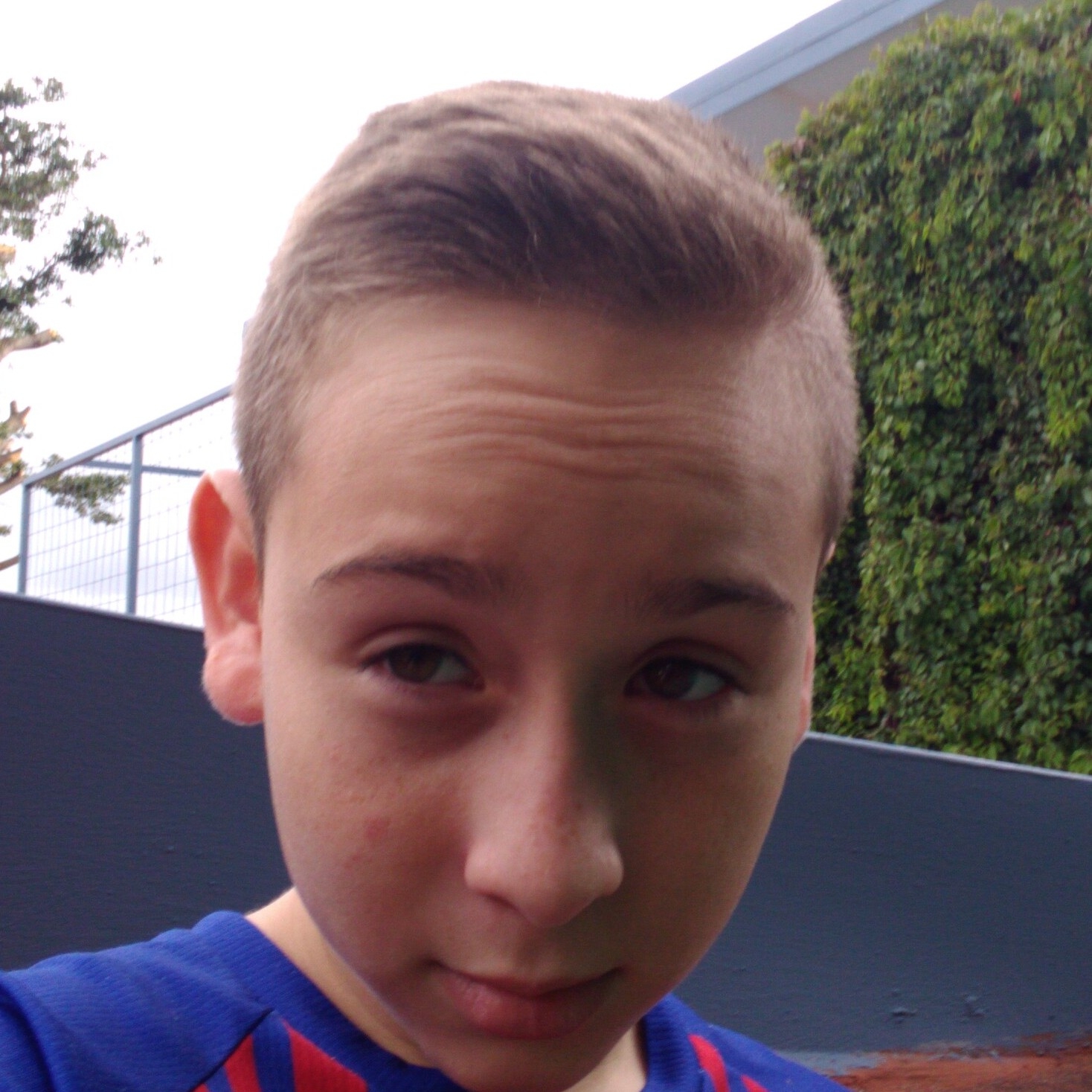 Dámaso Murillo Murillo