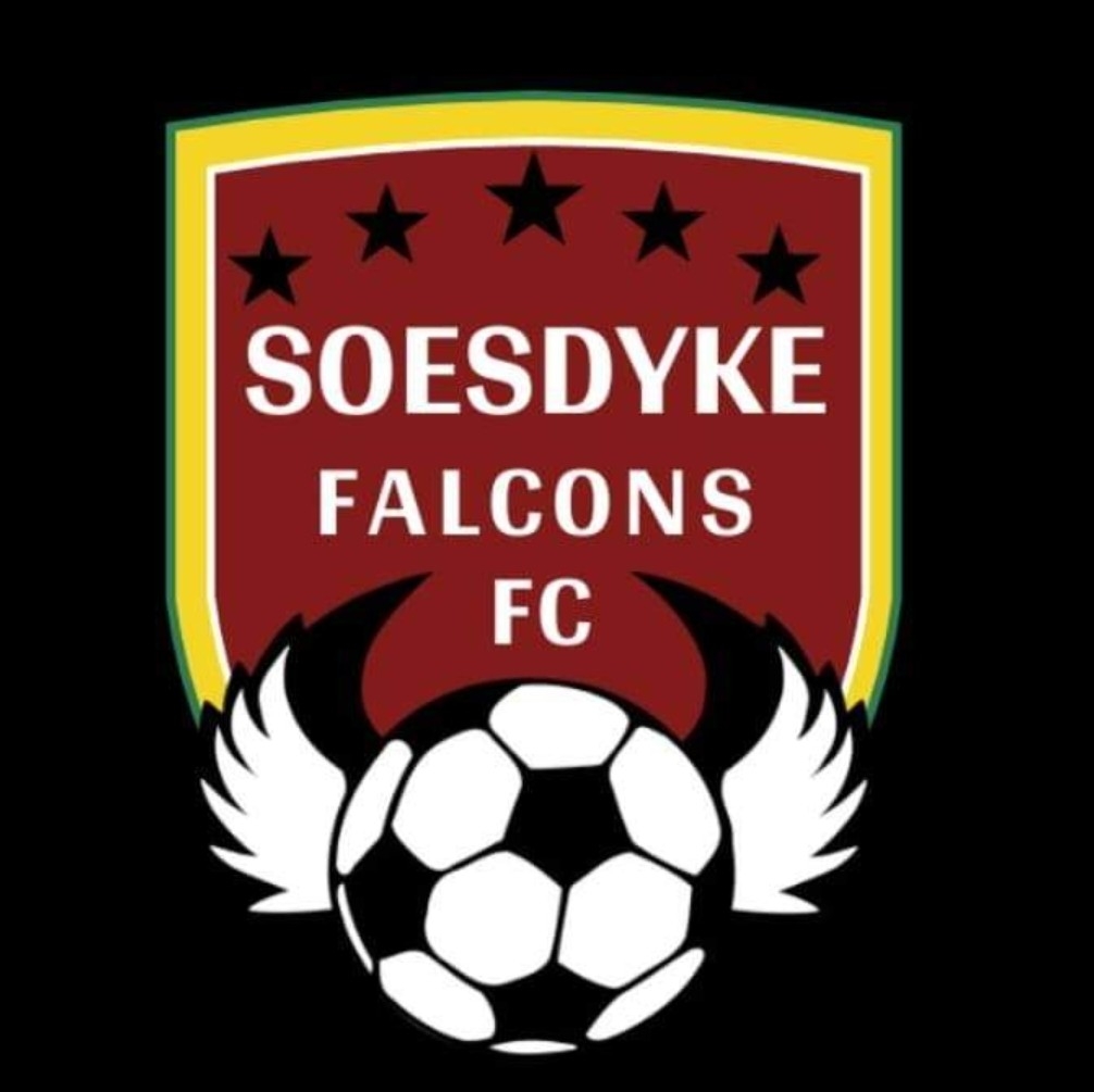 Soesdyke Falcons FC