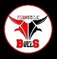 PGC ANGRY BULLS