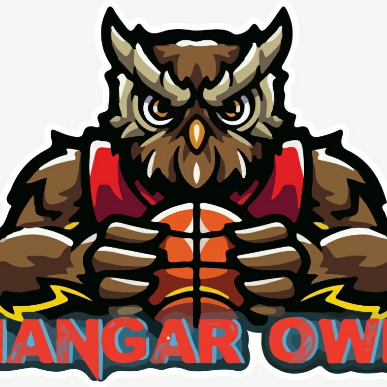 HANGAR OWLS