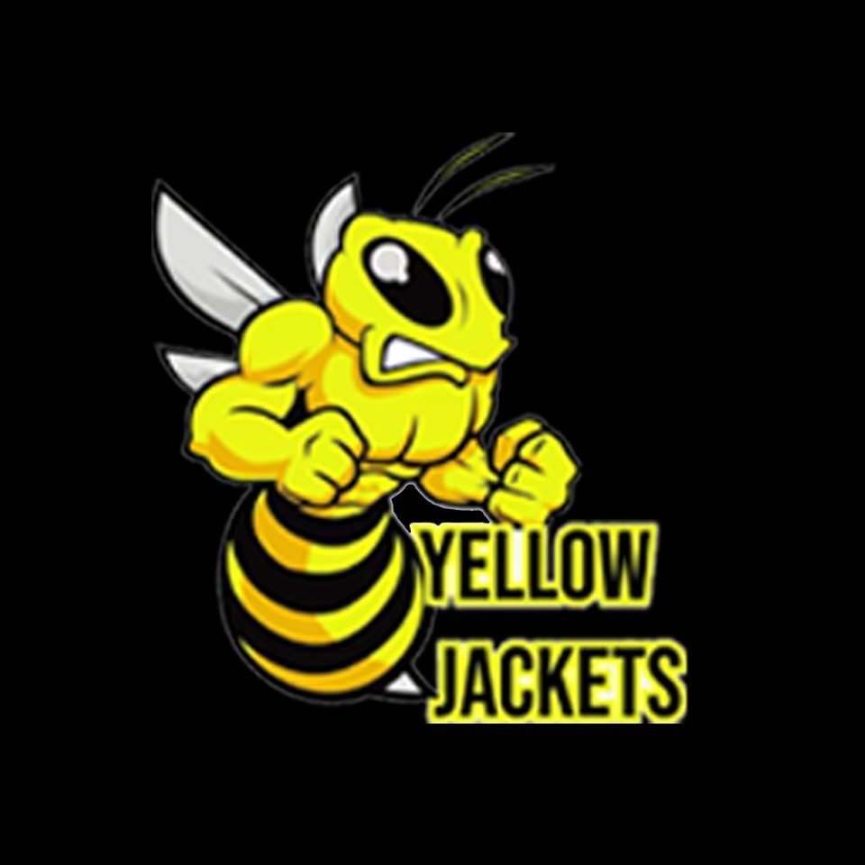 YELLOW JACKETS