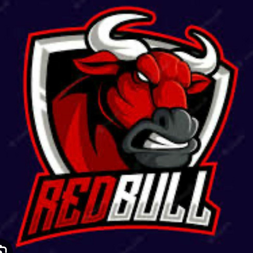 RED BULLS