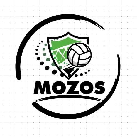 Mozos