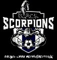 BLACK SCORPIONS