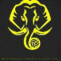 kerala blasters